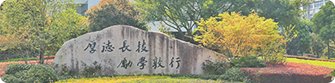 继续浏览